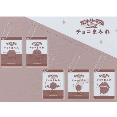 カントリーマアム 手鏡 スライドミラー 全10種 チョコまみれ お菓子パッケージ キャラクター グッズ メール便可