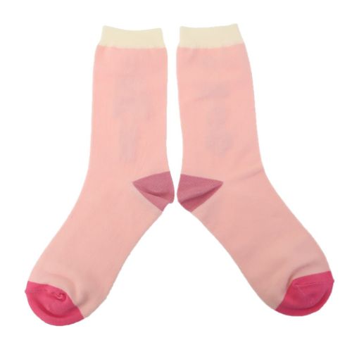 STUDY HOLIC 女性用靴下 靴下 人類生物学 おもしろ雑貨 グッズ メール便可