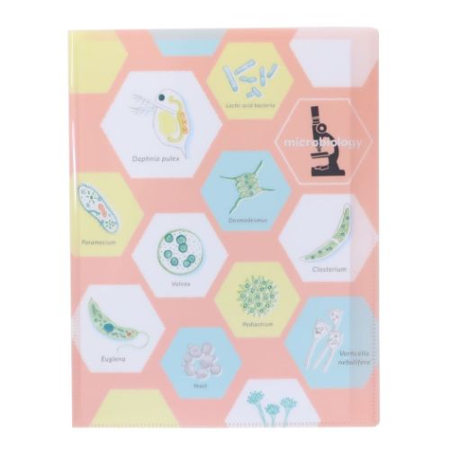 STUDY HOLIC ポケットファイル A4クリアブックファイル 微生物学 おもしろ雑貨 グッズ