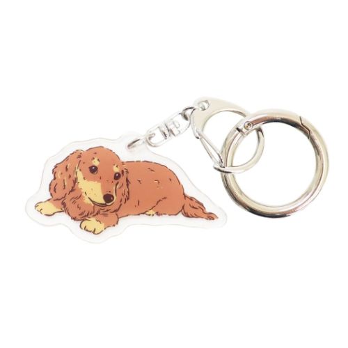 犬 グッズ キーホルダー アニマルアクリルキーホルダー カール 犬雑貨 グッズ メール便可