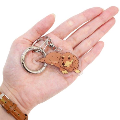 犬 グッズ キーホルダー アニマルアクリルキーホルダー カール 犬雑貨 グッズ メール便可