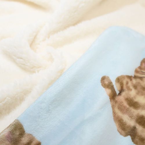 モコトラ ブランケット デジプリブランケット ウォーマー雑貨 グッズ