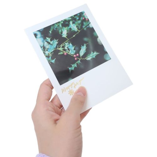 クリスマスカード シアーポストカード 柊の赤い実 Xmas グッズ メール便可