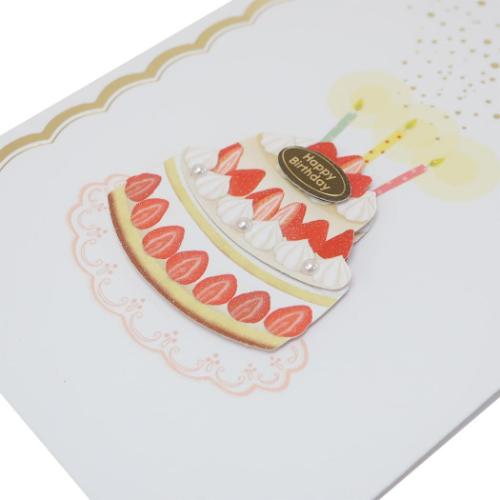 のし袋 ハンドメイド祝儀袋 封筒付き バースデーケーキ 金封 グッズ メール便可