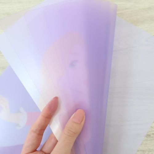 塔の上のラプンツェル ポケットファイル 5インデックスファイル ラプンツェル 新入学 ディズニープリンセス メール便可