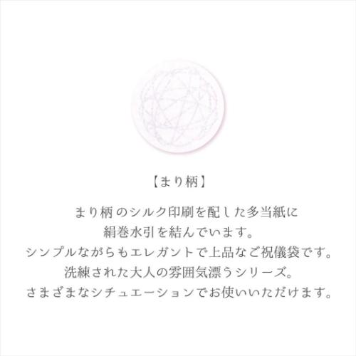のし袋 祝儀袋 絹巻金封 お祝い袋 グッズ メール便可