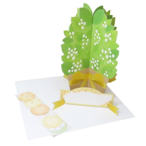 色紙 メッセージプランツ ガーベラオレンジ 寄せ書き グッズ