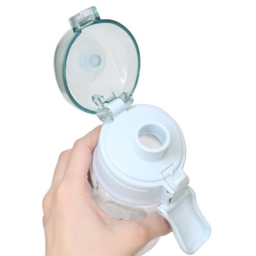 レアアニマル 常温水筒 プラボトル 550ml ハシビロコウ ランチ雑貨 グッズ