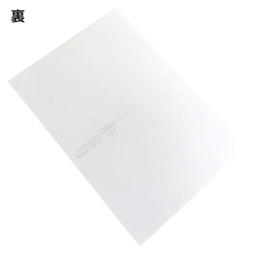 世にも不思議な猫世界 コレクター雑貨 L判絹目生写真 ねこまんまフェスティバル キャラクター グッズ メール便可