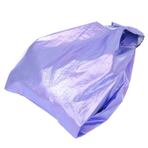 ムーミン ショッピングバッグ シャイニーエコバッグ ムーミン＆スナフキン 北欧 キャラクター グッズ メール便可