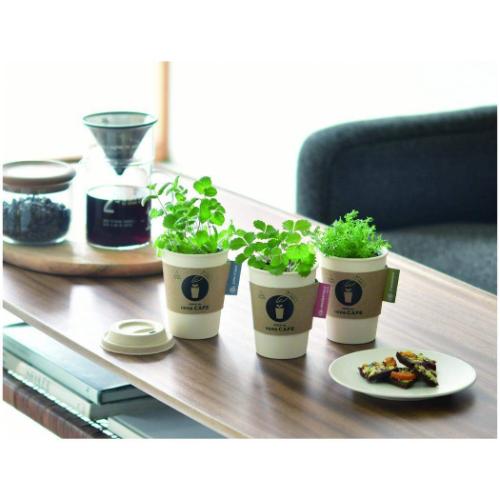 栽培キット 育てるカフェ アップルミント 屋内 家庭菜園 プレゼント