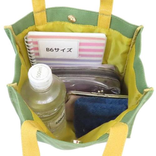 ドナルドダック トートバッグ スクエアバッグ ファニーダック ディズニー キャラクター グッズ メール便可