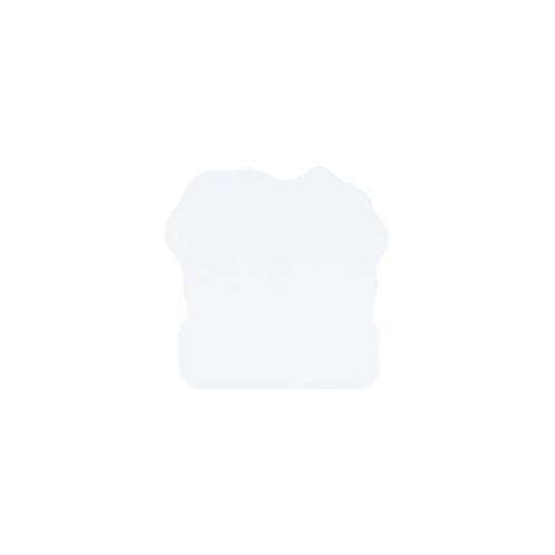 スヌーピー ダイカットシール ホログラムステッカー PNPC3 H ピーナッツ キャラクター グッズ メール便可