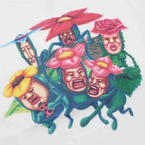 こびとづかん 子供用Tシャツ キッズT-SHIRTS ハナ GR キャラクター グッズ メール便可