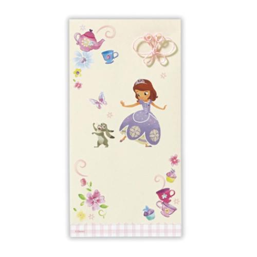 ちいさなプリンセス 祝儀袋 金封 SN無地ソフィア3 ディズニー キャラクター お祝い袋 グッズ メール便可