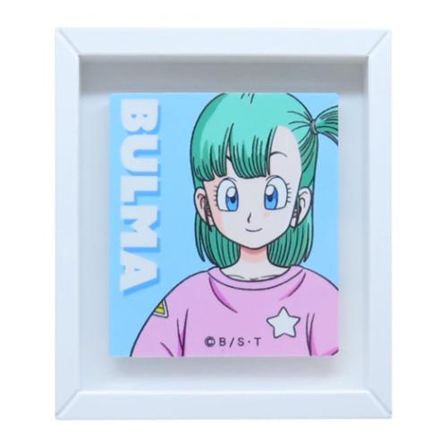 ドラゴンボール 磁石 フレームマグネット ブルマ アニメキャラクター グッズ メール便可