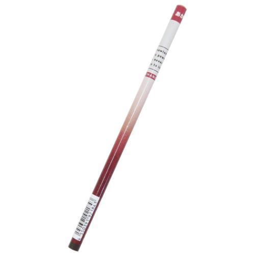 BOY’S STATIONERY 赤鉛筆 丸軸あかえんぴつ 新入学 小学生 男の子 グッズ メール便可