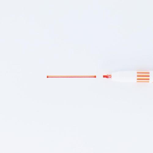 ポケットモンスター カラーペン 2色線ペン twiink ポケピース ヒバニー 新入学 ポケモン キャラクター グッズ メール便可