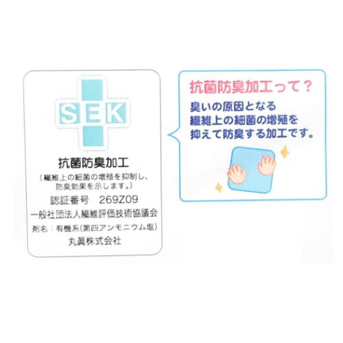 すみっコぐらし 吊り下げ マスコットタオル マイクロループタオル とかげとおでかけ サンエックス キャラクター グッズ