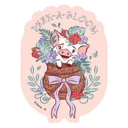 ディズニープリンセス キャラクターステッカー ホログラムステッカーB ディズニー キャラクター グッズ メール便可