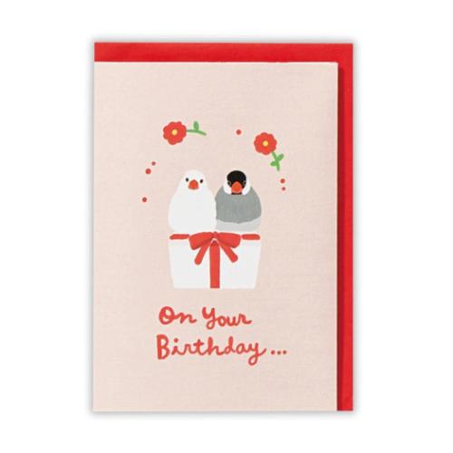 グリーティングカード 誕生お祝い 立体カード ペット ペア文鳥2 メッセージカード グッズ メール便可