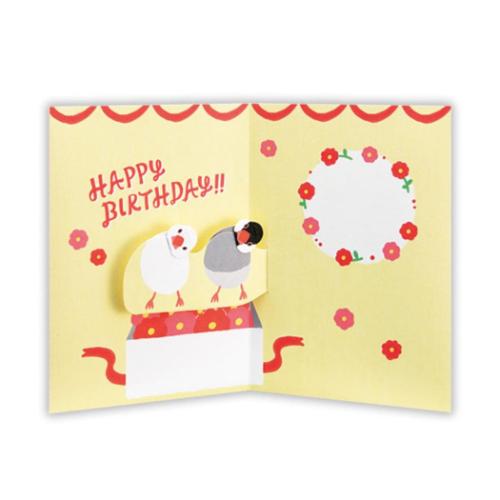 グリーティングカード 誕生お祝い 立体カード ペット ペア文鳥2 メッセージカード グッズ メール便可