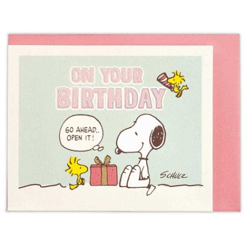 スヌーピー ミニカード 誕生お祝い 立体カード SNバースデー文字 ピーナッツ キャラクター メッセージカード グッズ メール便可