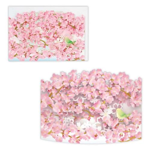 グリーティングカード 多目的 立体カード カーブレーザー桜 メッセージカード グッズ メール便可