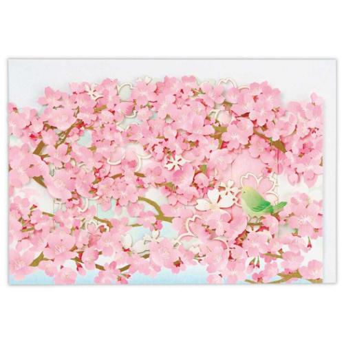 グリーティングカード 多目的 立体カード カーブレーザー桜 メッセージカード グッズ メール便可