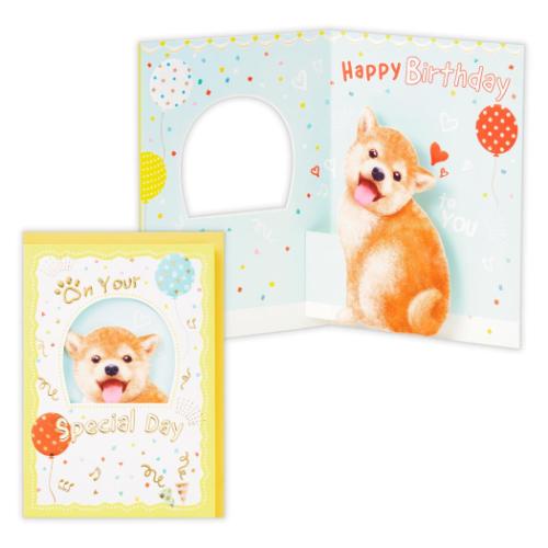 グリーティングカード 誕生お祝い 立体カード HM柴犬 メッセージカード グッズ メール便可