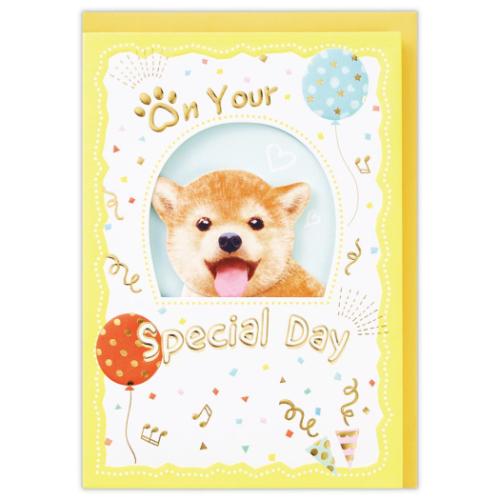 グリーティングカード 誕生お祝い 立体カード HM柴犬 メッセージカード グッズ メール便可