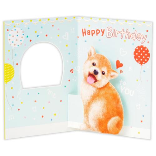 グリーティングカード 誕生お祝い 立体カード HM柴犬 メッセージカード グッズ メール便可