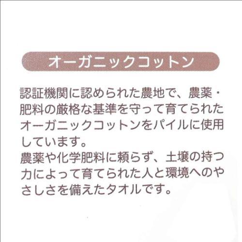 くまのがっこう フェイスタオル シャーリングロングタオル オーガニックコットン フラワーストリート デイビッド メール便可