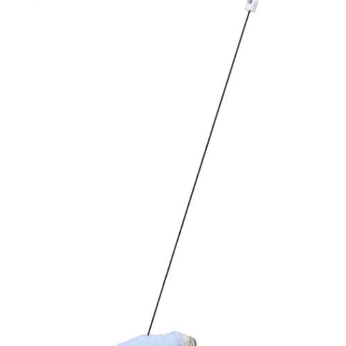 スヌーピー 定期入れ デイリーパスケース ぬいぐるみ BL ピーナッツ キャラクター グッズ メール便可