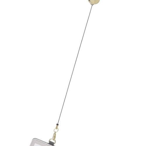 ポケットモンスター 定期入れ パスケース 行進 ポケモン キャラクター グッズ メール便可