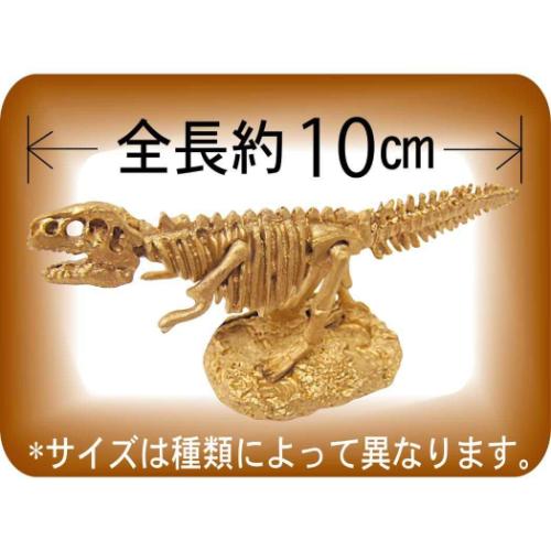 知育玩具 スーパー発掘名人ゴールド 全6種 恐竜 プレゼント おもちゃ グッズ