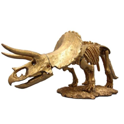 知育玩具 黄金の発掘名人 BIG トリケラトプス 恐竜 プレゼント グッズ