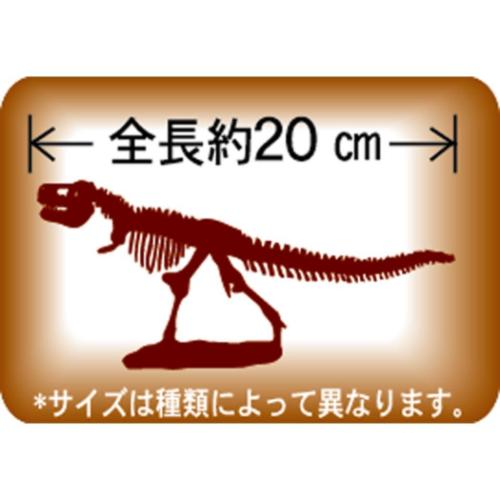 知育玩具 黄金の発掘名人 SUPER DX 全6種 恐竜 プレゼント おもちゃ グッズ