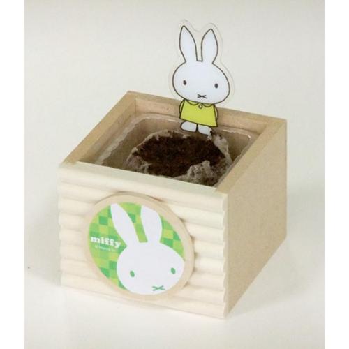 ミッフィー 栽培セット ハーブ栽培キット ミニポットイタリアンパセリ ディックブルーナ 絵本キャラクター グッズ