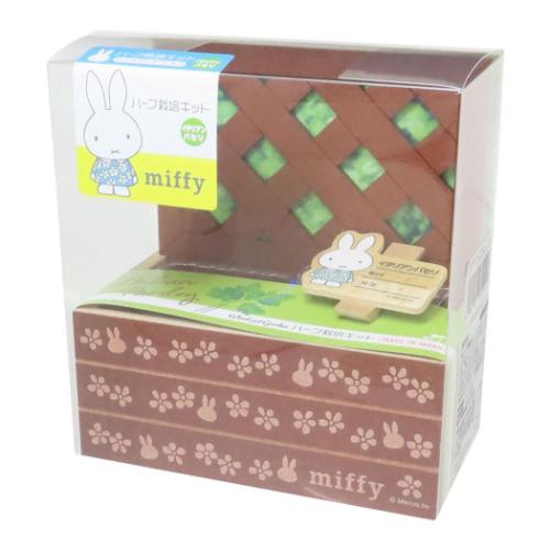 ミッフィー 栽培セット ハーブ栽培キット ミニラティス イタリアンパセリ ディックブルーナ 絵本キャラクター グッズ