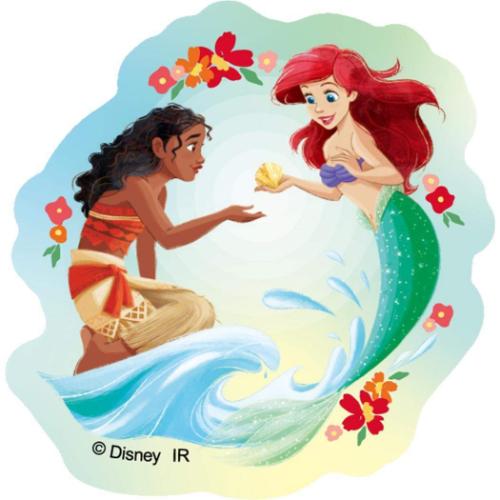 ディズニープリンセス ダイカットシール ステッカーセット 5枚入り ディズニー キャラクター グッズ メール便可