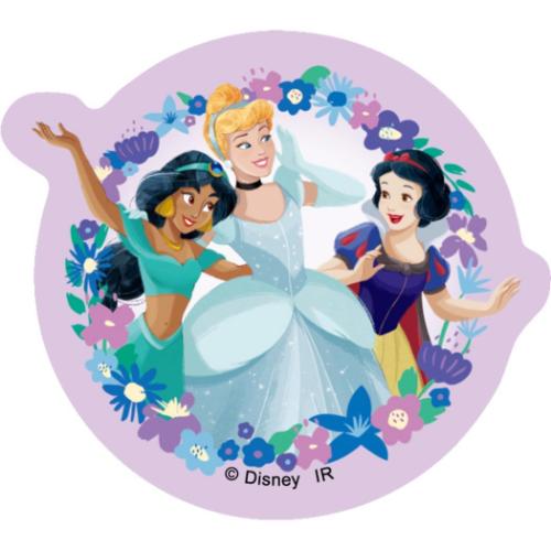 ディズニープリンセス ダイカットシール ステッカーセット 5枚入り ディズニー キャラクター グッズ メール便可