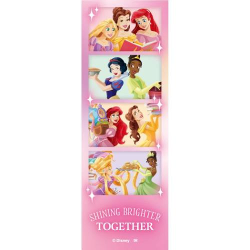 ディズニープリンセス ダイカットシール ステッカーセット 5枚入り ディズニー キャラクター グッズ メール便可