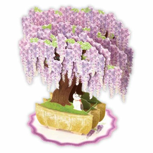 グリーティングカード 初夏カード 立体カード 藤盆栽3 かわいい グッズ メール便可