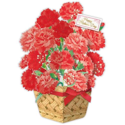 グリーティングカード 母の日カード 立体カード カゴラメカーネーション かわいい グッズ メール便可