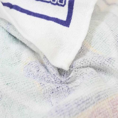 プラレール ミニタオル 抗菌ケース付おしぼり 25 鉄道 キャラクター グッズ