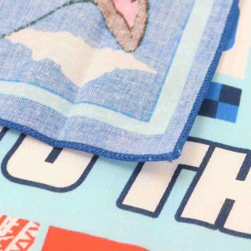 パウパトロール ランチクロス お弁当箱ナフキン 25 アニメキャラクター グッズ メール便可