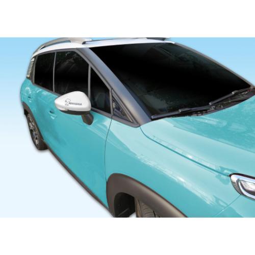 スヌーピー ビッグステッカー ドアミラーエンブレムステッカー ピーナッツ キャラクター グッズ メール便可