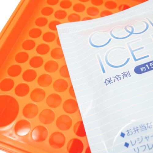 ミッフィー お弁当箱 保冷バック付行楽ランチセット ミッフィー20 ディックブルーナ 絵本キャラクター グッズ