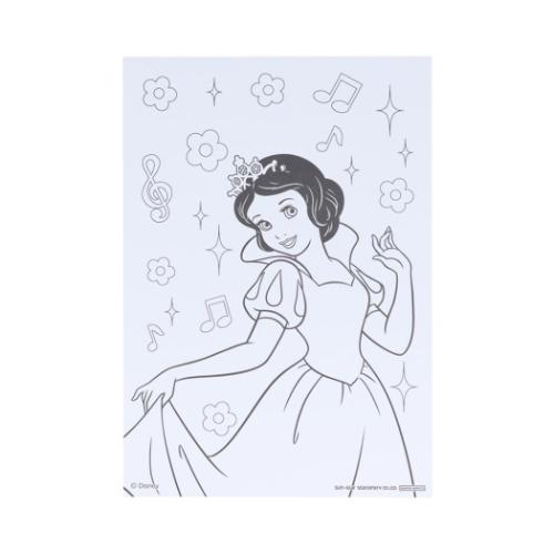 ディズニープリンセス 塗り絵 ぬってかざれる パレットぬりえ ディズニー キャラクター グッズ メール便可